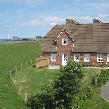 Direkt Am Deich - Ferienwohnung Amrum Im Gaestehaus Am Badedeich Dagebüll Eksteriør billede