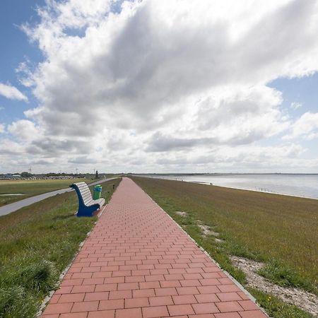 Direkt Am Deich - Ferienwohnung Amrum Im Gaestehaus Am Badedeich Dagebüll Eksteriør billede