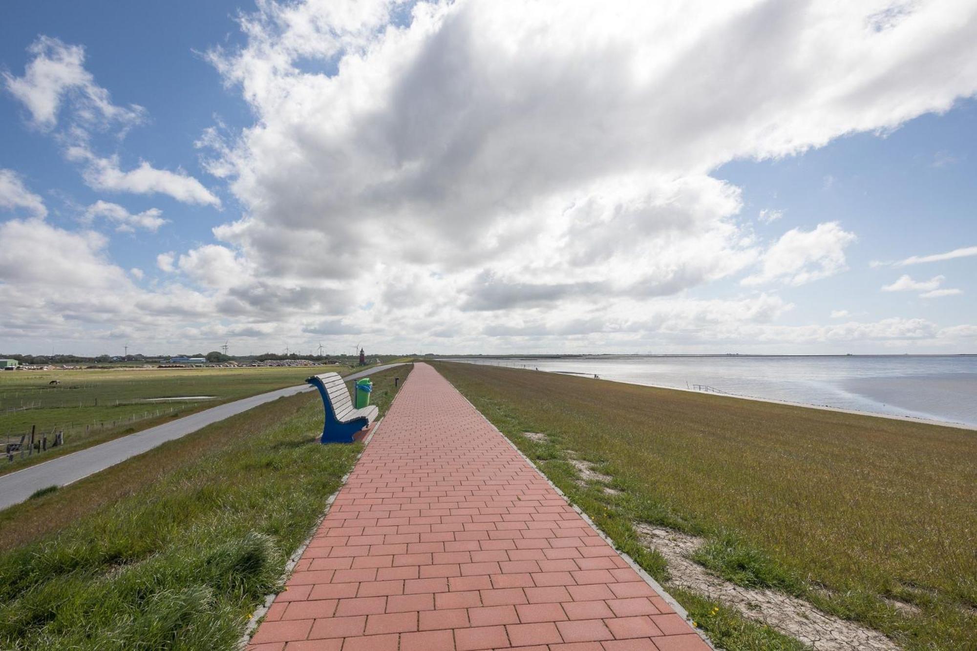Direkt Am Deich - Ferienwohnung Amrum Im Gaestehaus Am Badedeich Dagebüll Eksteriør billede